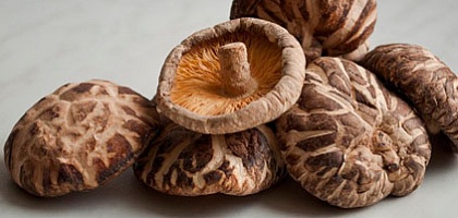 Полезные свойства грибов шиитаке